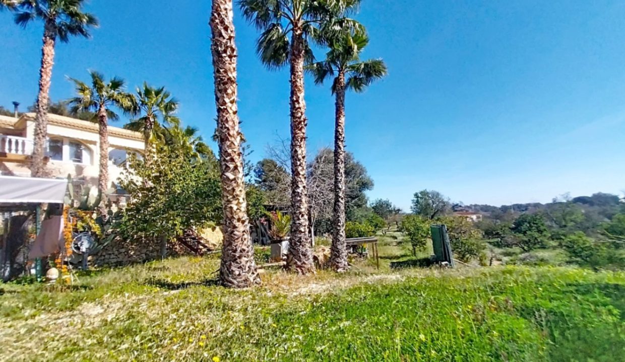 casa-mm-ff-v_00042